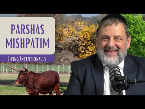 Mishpatim – Living Intentionally | Rabbi Dovid Orlofsky