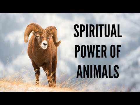 Power of the Shofar: How Animals Can Teach Us the Secret of Life