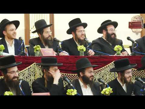 Gedolei Torah Engage in Pilpul-Farher with Shas Yiden | גדולי התורה בפלפולא דאורייתא עם ש”ס איד’ן