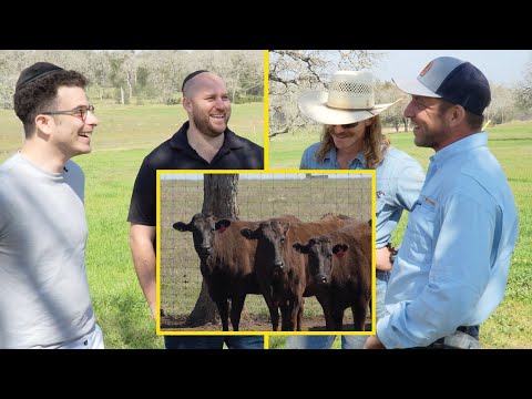 Have You Ever Heard of Kosher Wagyu? | YID ON A TRIP – Texas | TYH Nation