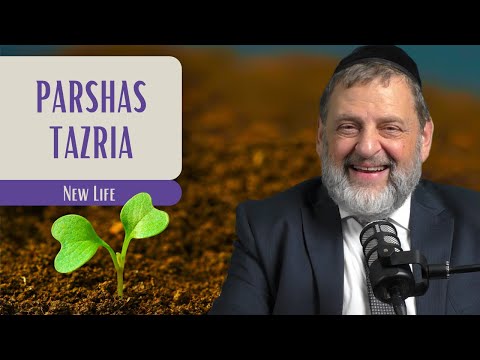 Tazria – New Life | Rabbi Dovid Orlofsky