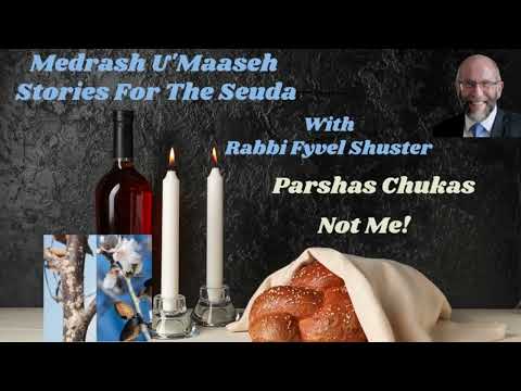 Stories for the Seuda – Parshas Chukas – Not Me!