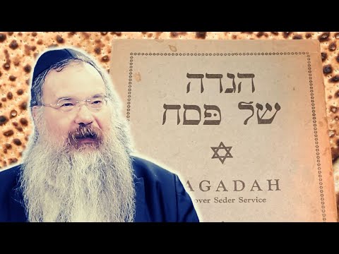 Haggadah Insights with Rabbi Shais Taub