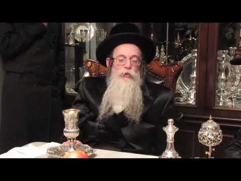 Skulen Williamsburg Rebbe Visits Skolya Rabbi – Teves 5783