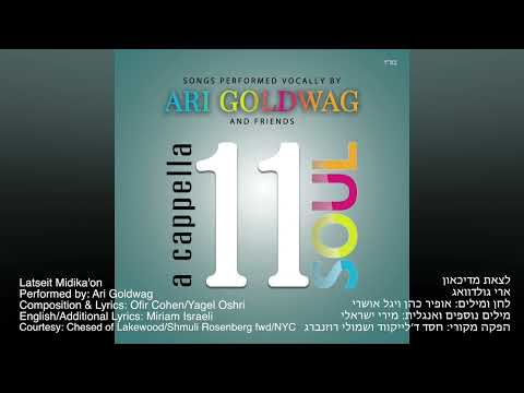 Ari Goldwag – Latseit Midika’on – Acappella | ארי גולדוואג – לצאת מדיכאון – ווקאלי