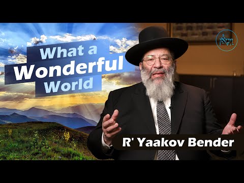 What a Wonderful World | Rabbi Yaakov Bender